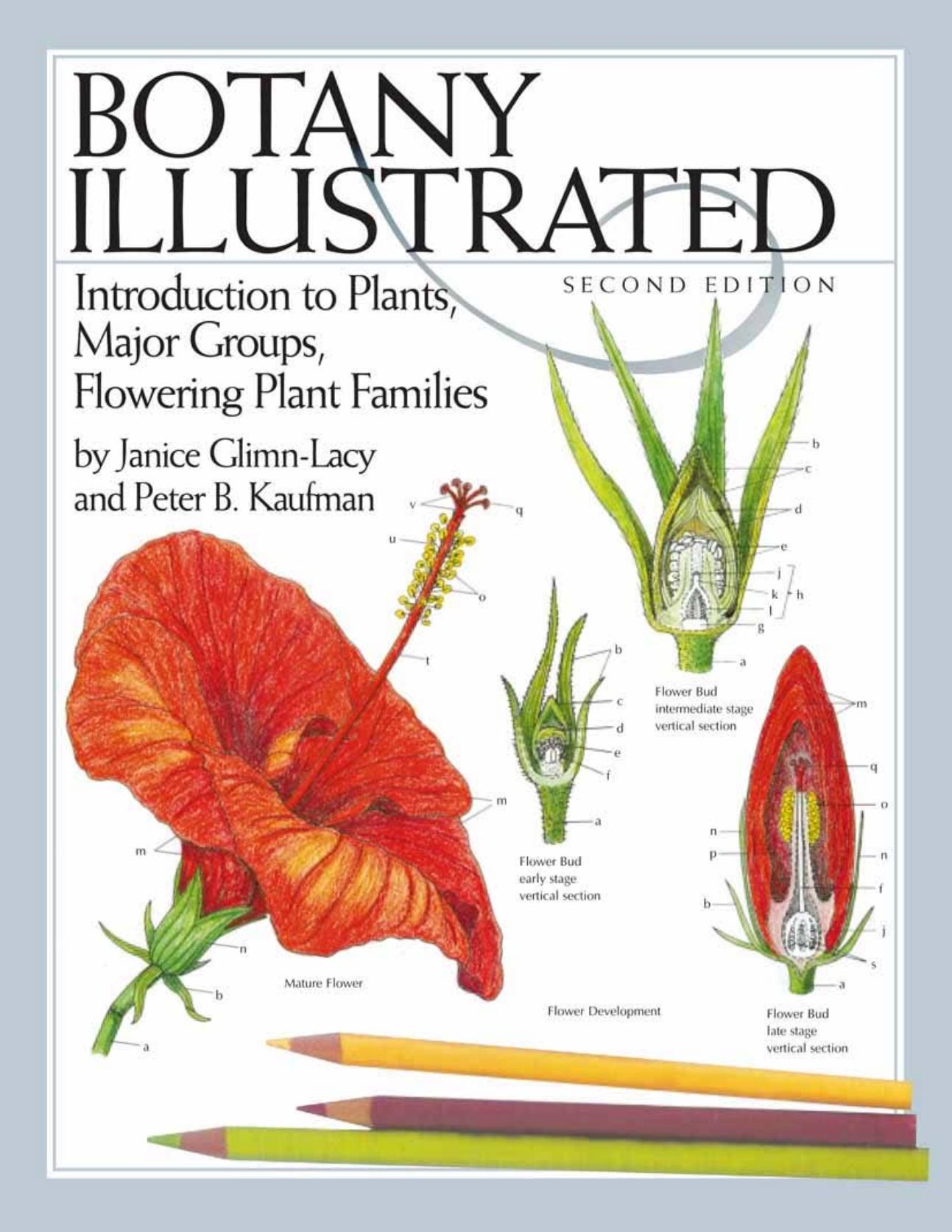 Botany Illustrated  Introduction to Plants, Major Groups, Flowering Plant Families 2006