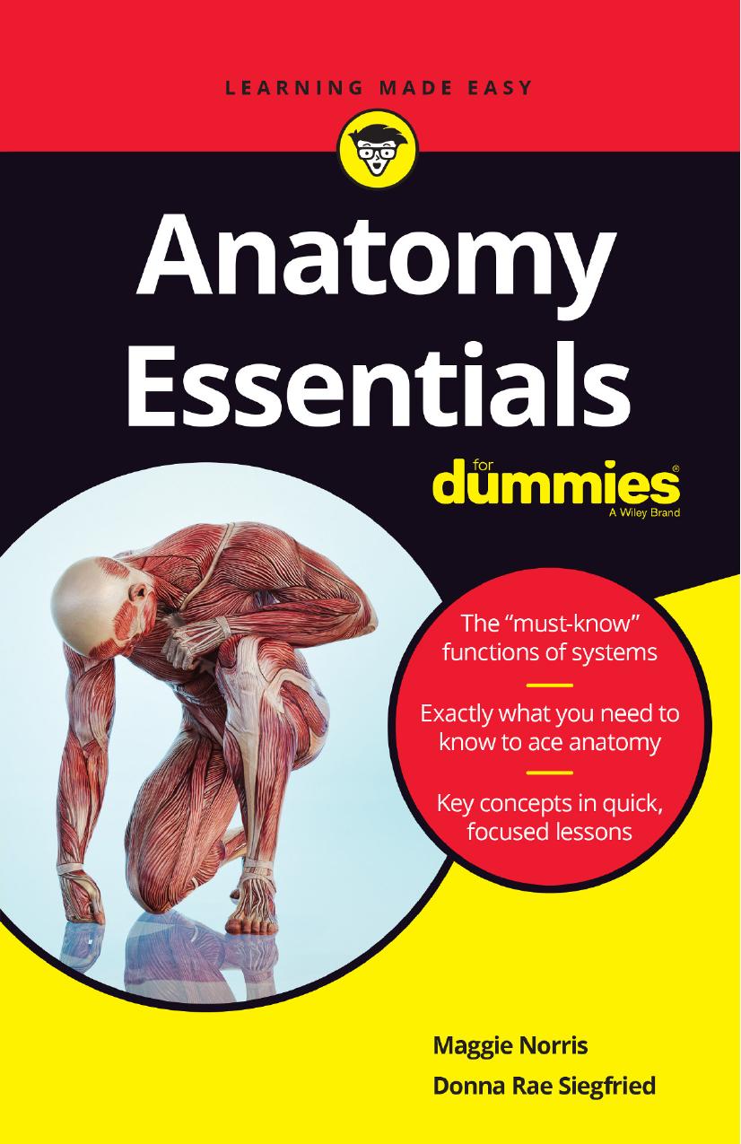 Anatomy Essentials For Dummies®