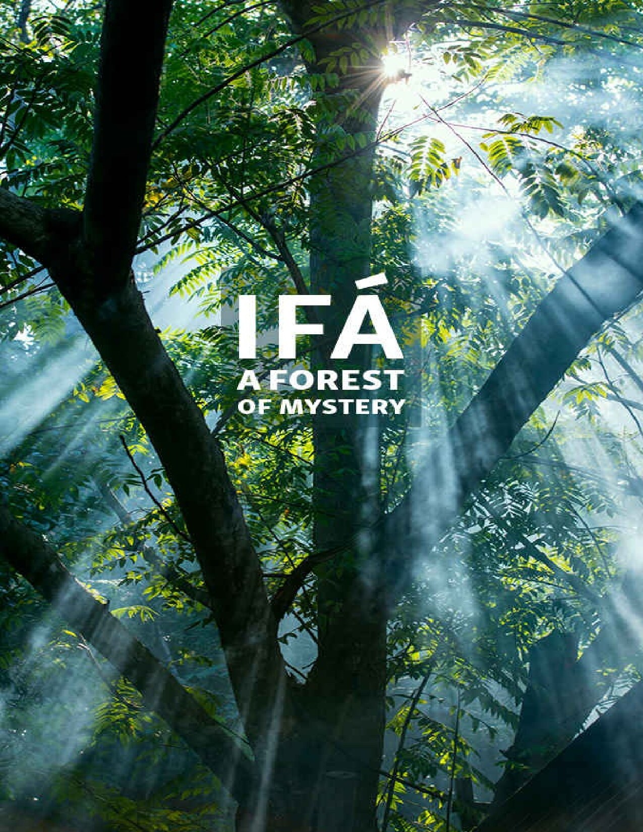 Ifá: A Forest of Mystery