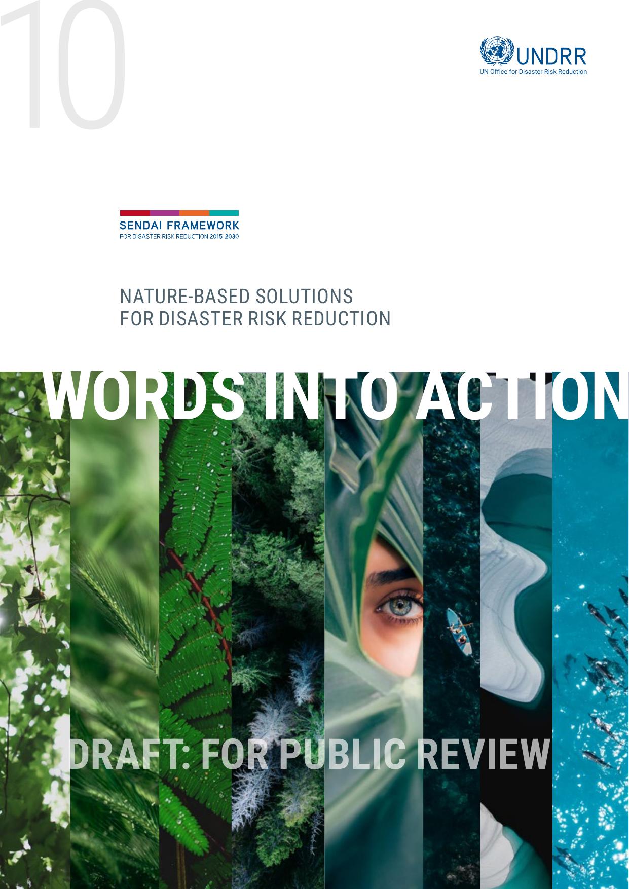 words to action -nature based solutions for drr