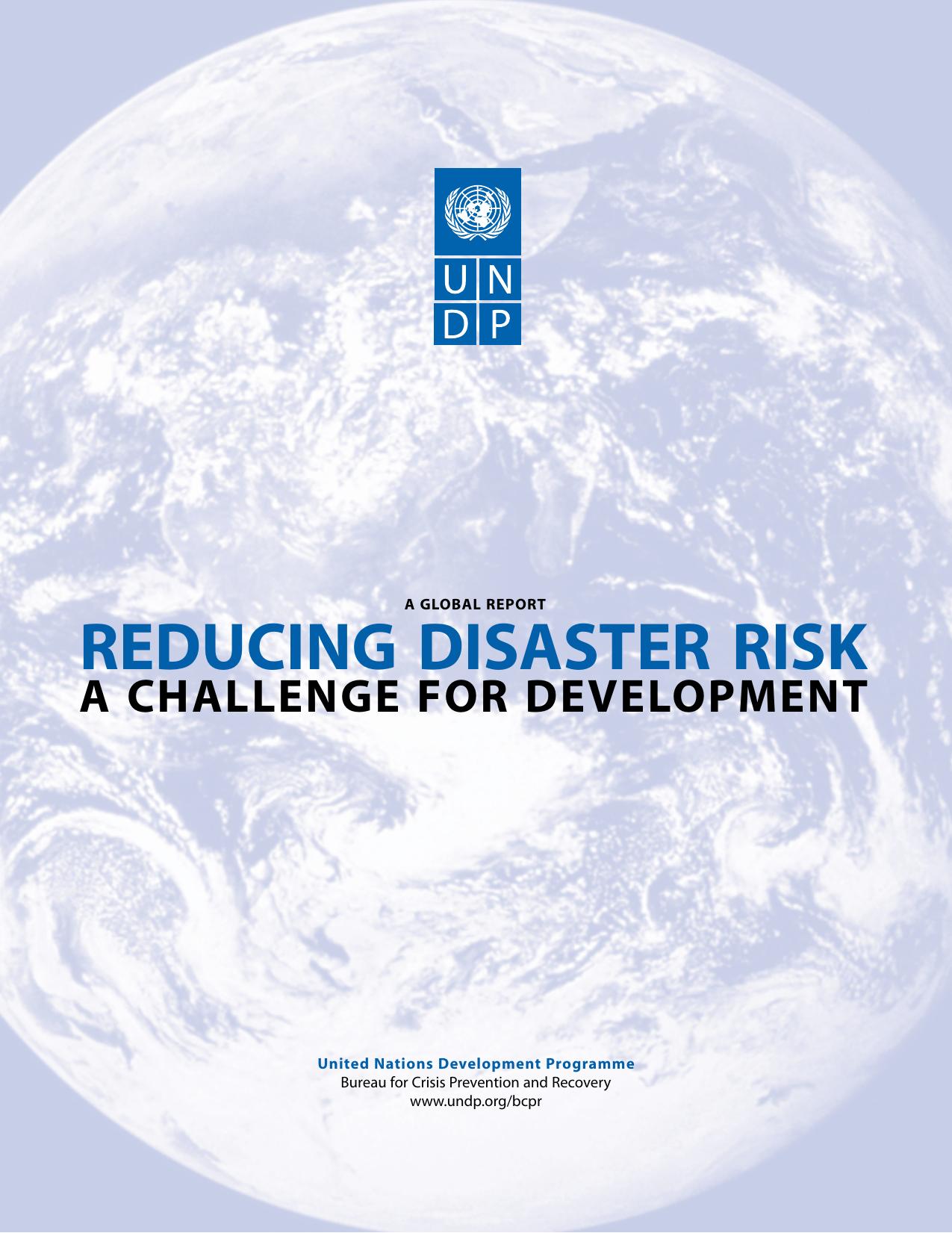 1 REDUCING DISASTER RISK- A CHALLENGE FOR DEVELOPMENT. 2004