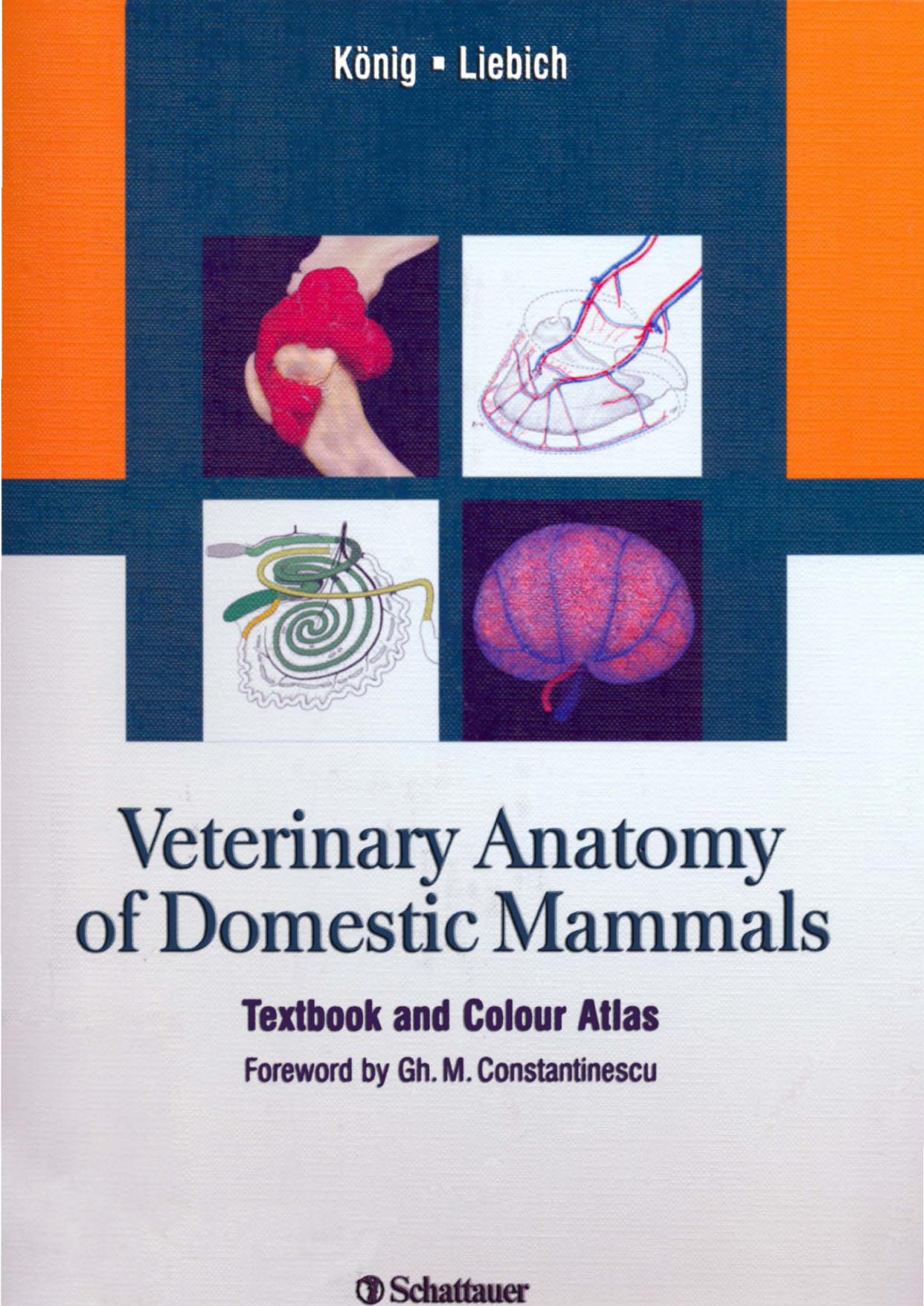 Veterinary Anatomy of Domestic Mammals, Textbook and Colour Atlas (2004)