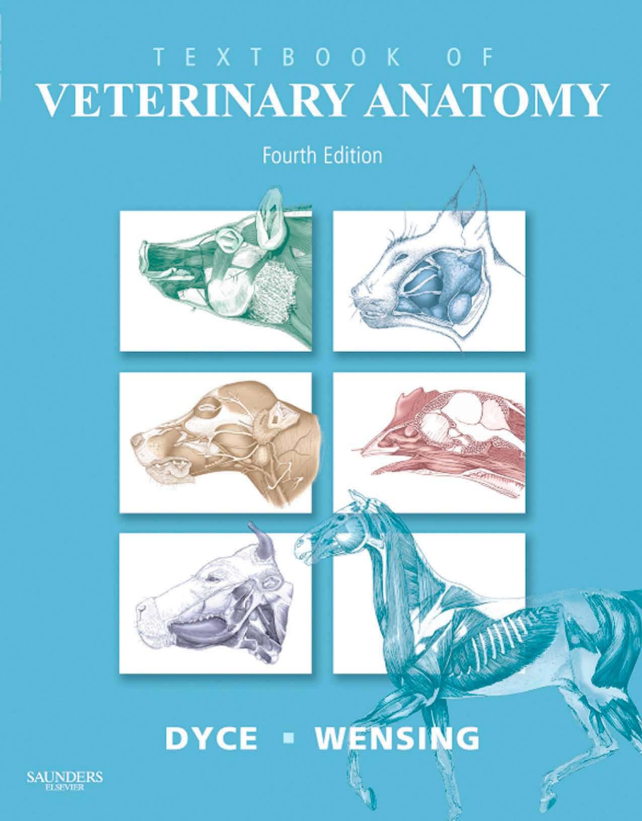 Textbook of Veterinary Anatomy, 4th Edition