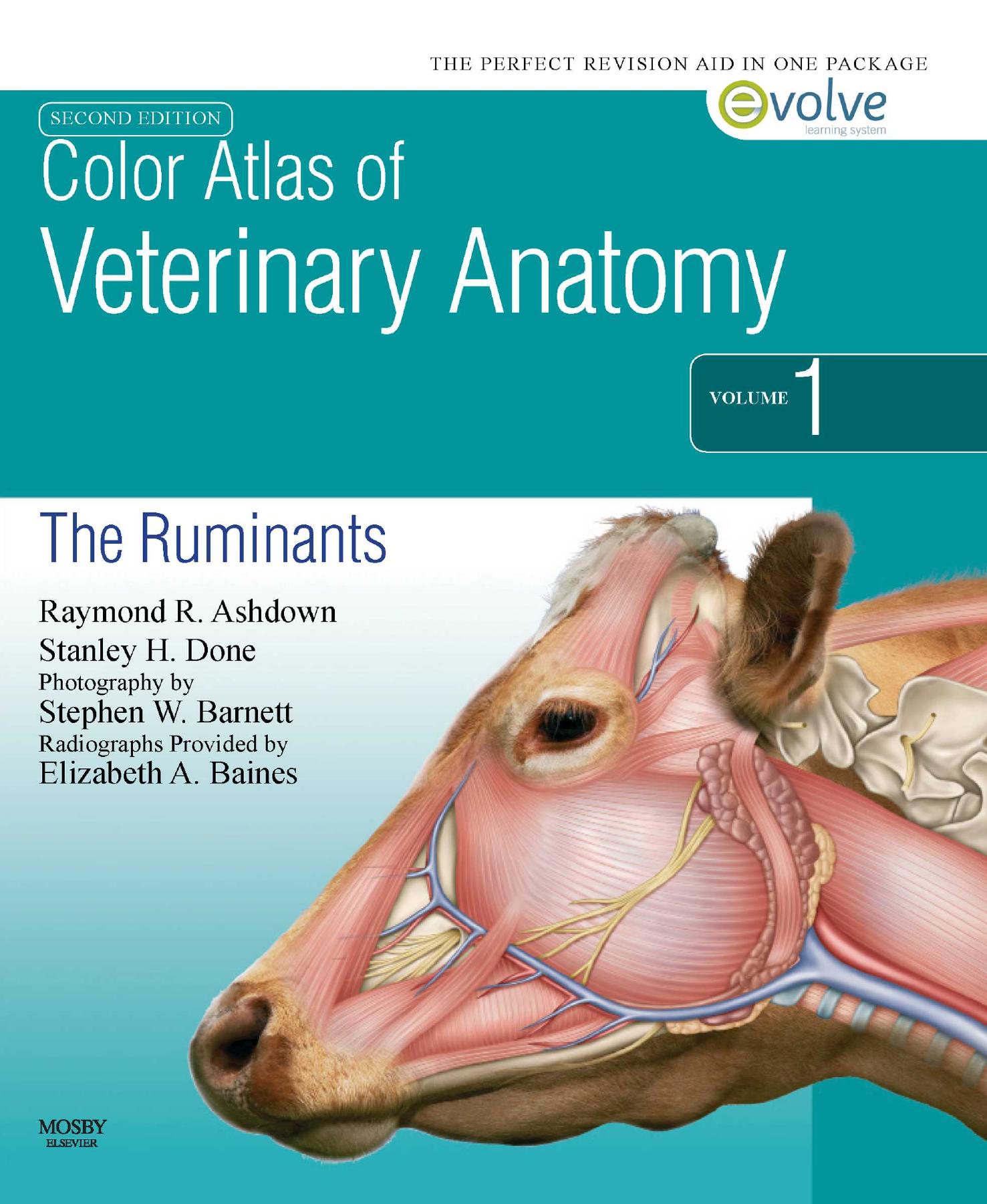 Color Atlas of Veterinary Anatomy: The Ruminants