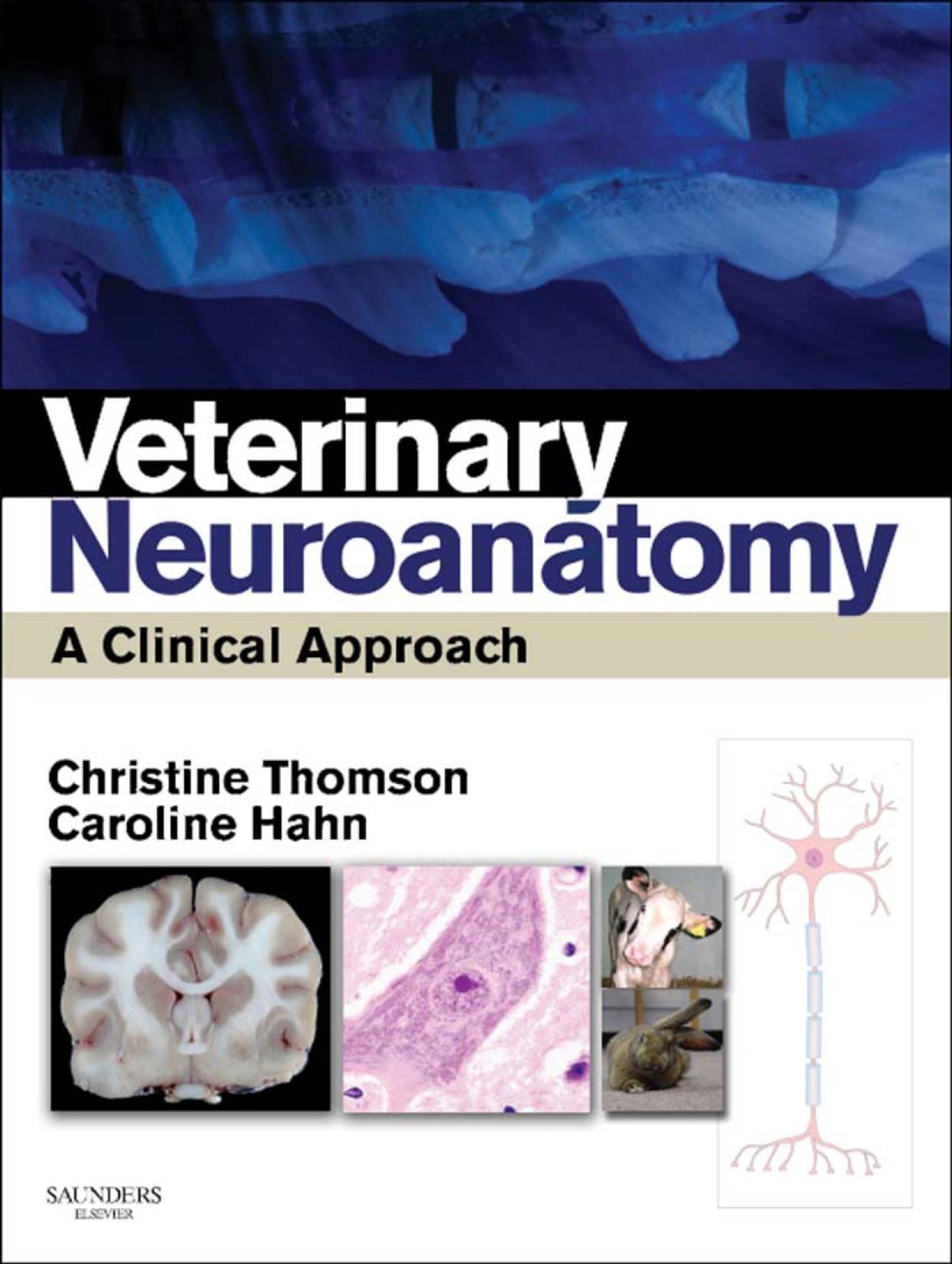 Veterinary Neuroanatomy - A Clinical Approach