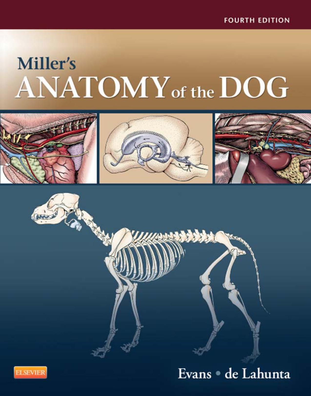 Miller's Anatomy of the Dog