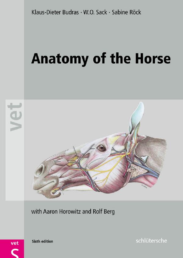 Anatomy of the Horse, 6th Edition