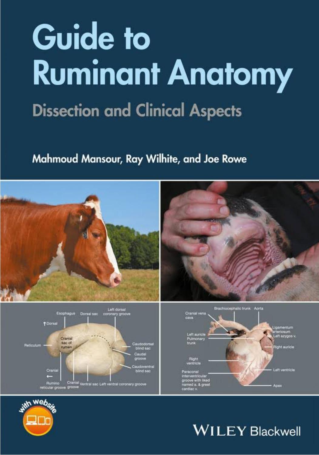 Guide to Ruminant Anatomy, Dissection and Clinical Aspects