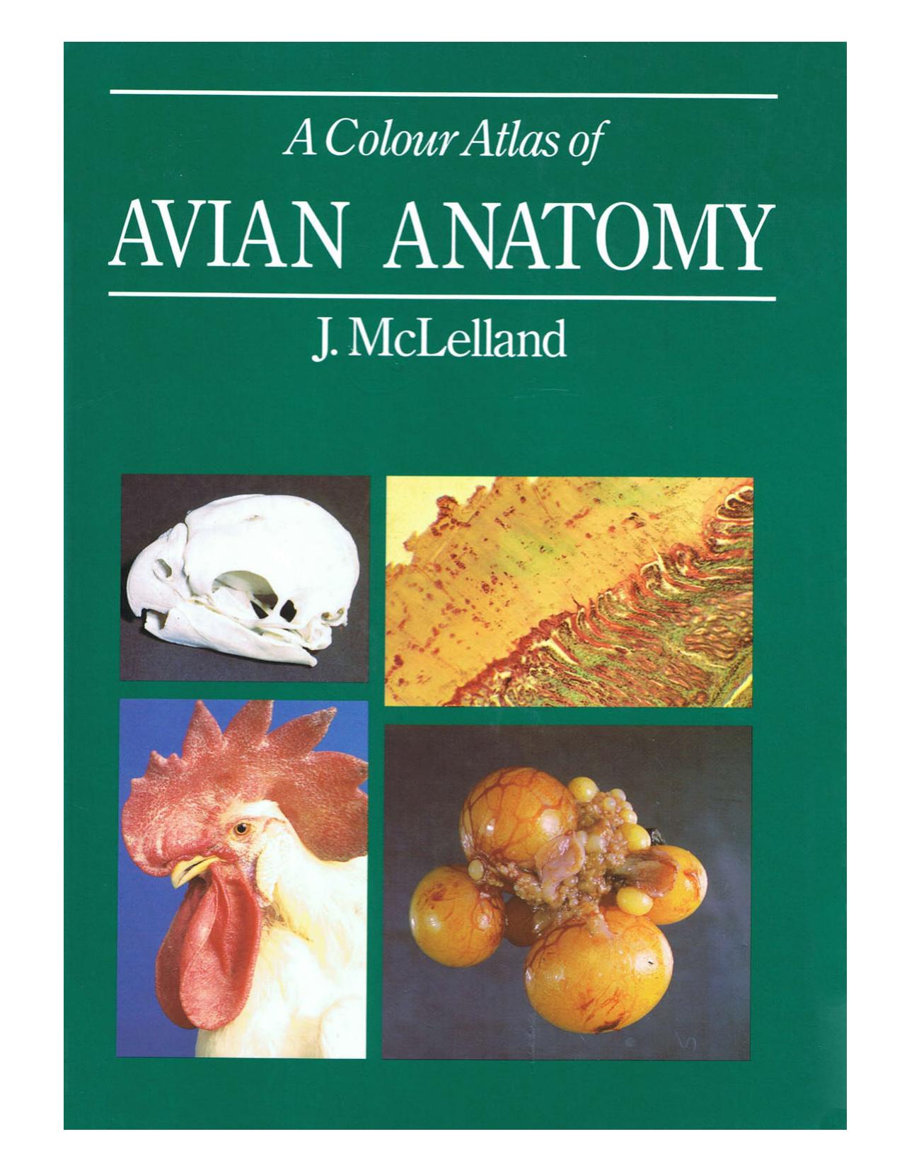 A Colour Atlas of Avian Anatomy 1990