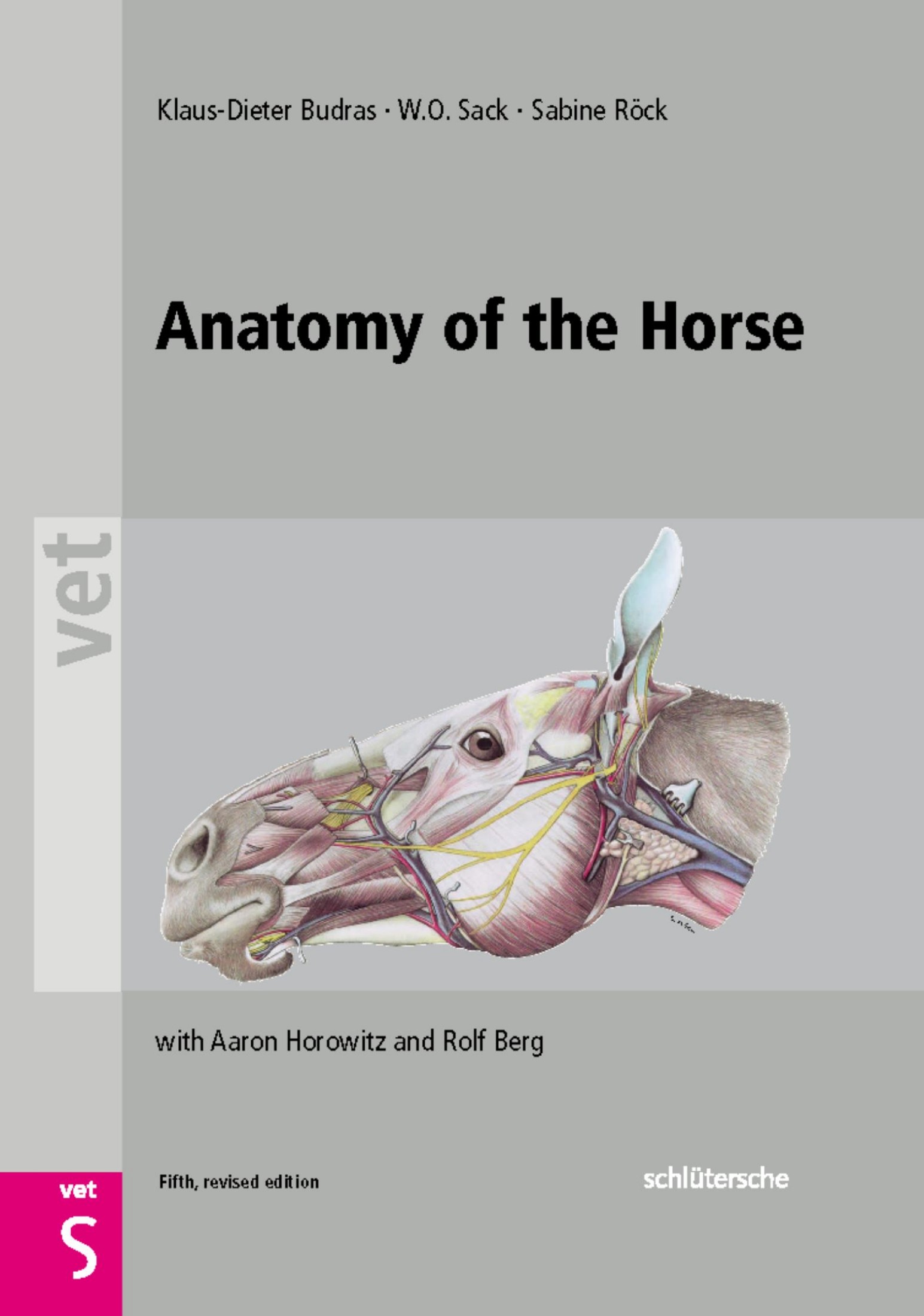 Anatomy of the Horse