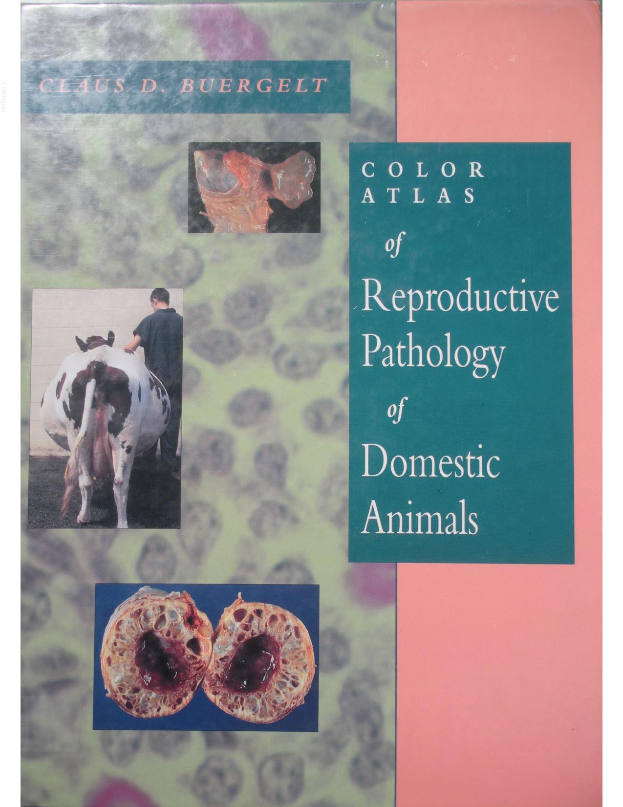 Color Atlas of Reproductive Pathology of Domestic Animals