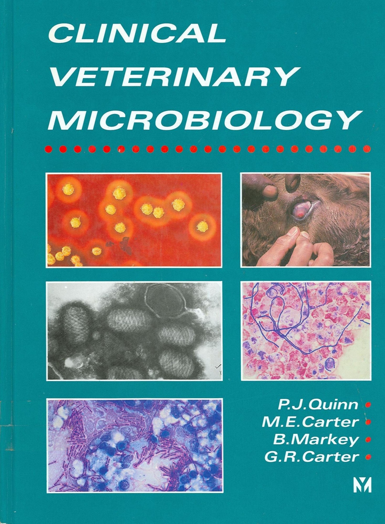 Clinical Veterinary Microbiology 1999