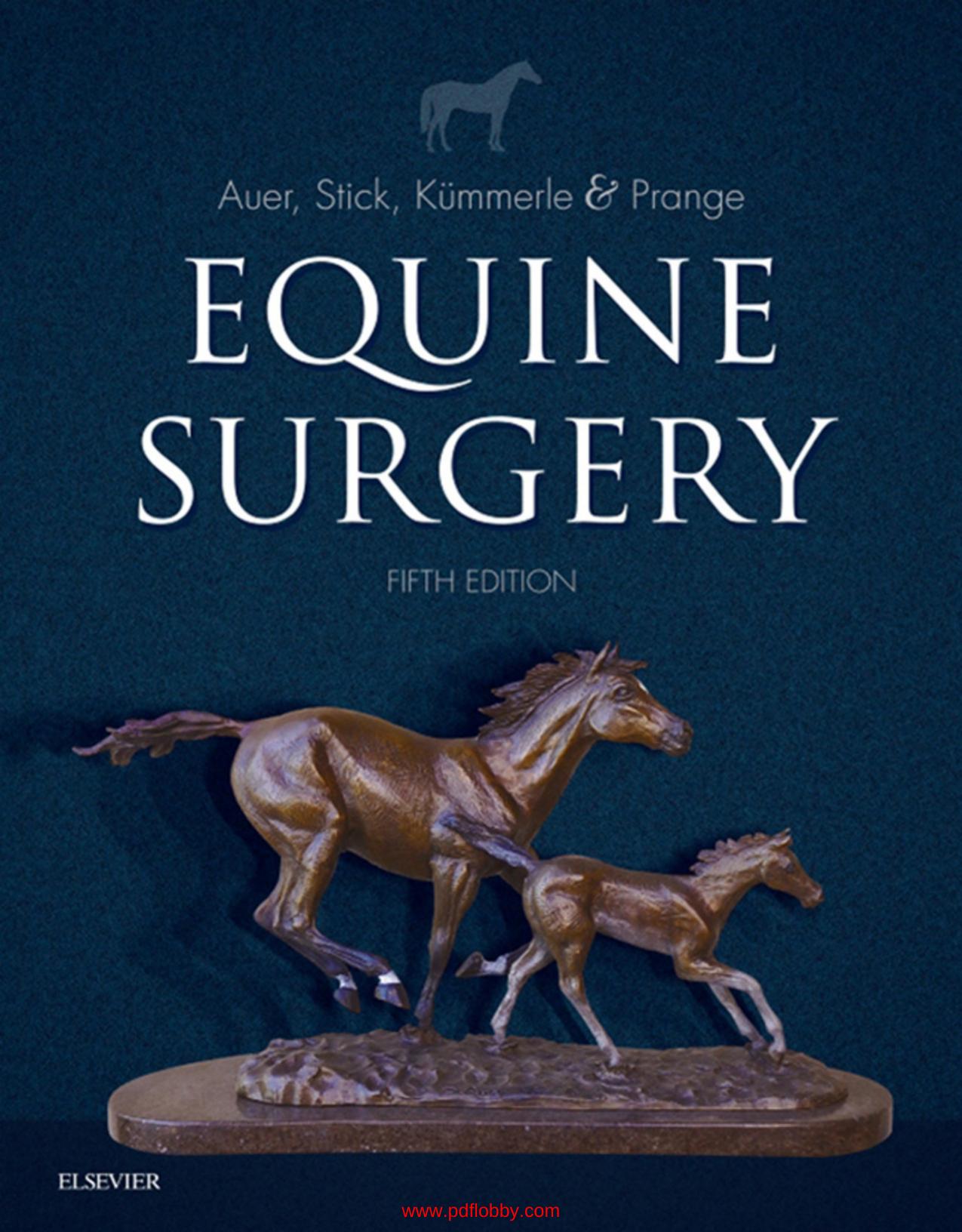 Equine Surgery 5th Edition