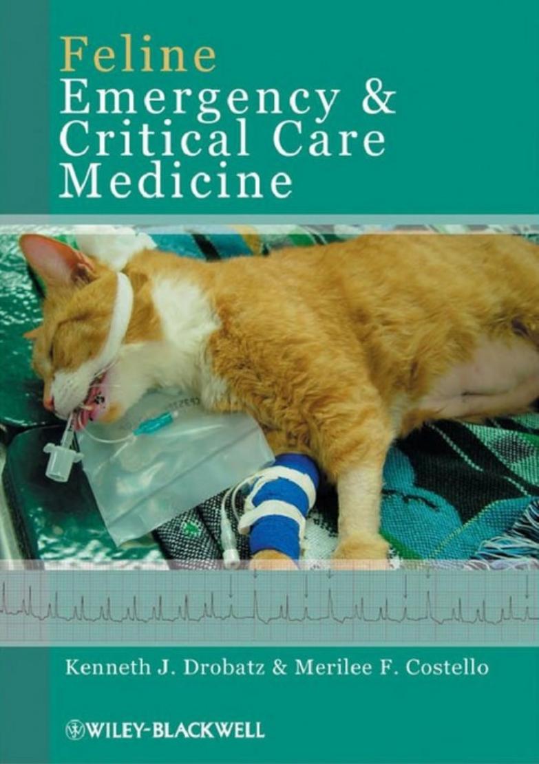 Feline Emergency and Critical Care Medicine