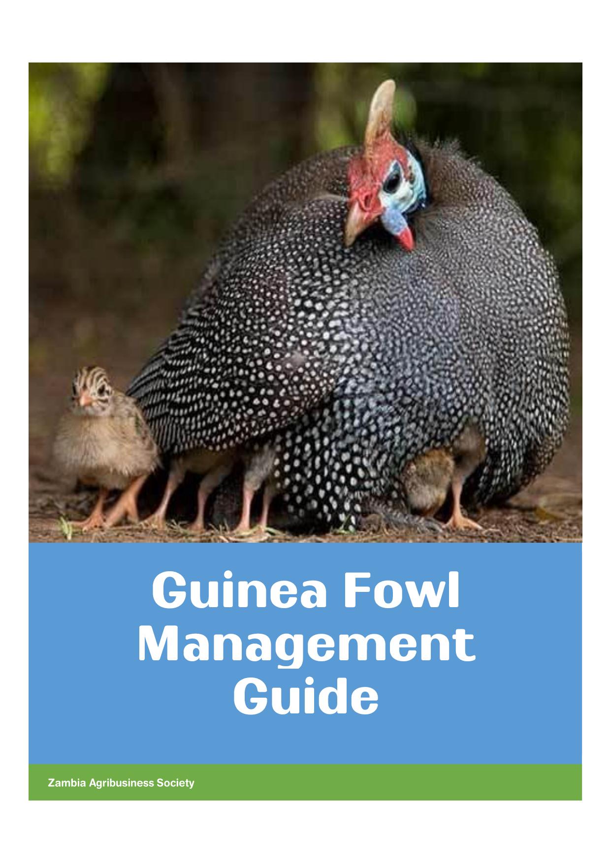 Guinea Fowl Management Guide