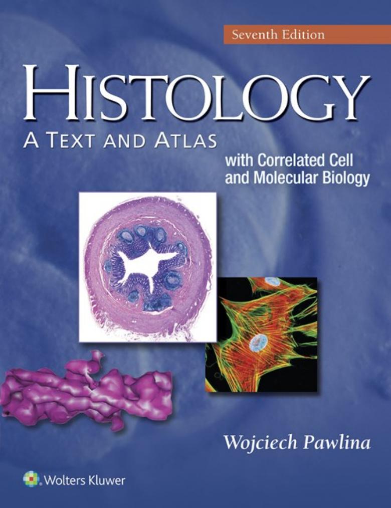 Histology, A Text and Atlas, with Correlated Cell and Molecular Biology, 7th Edition