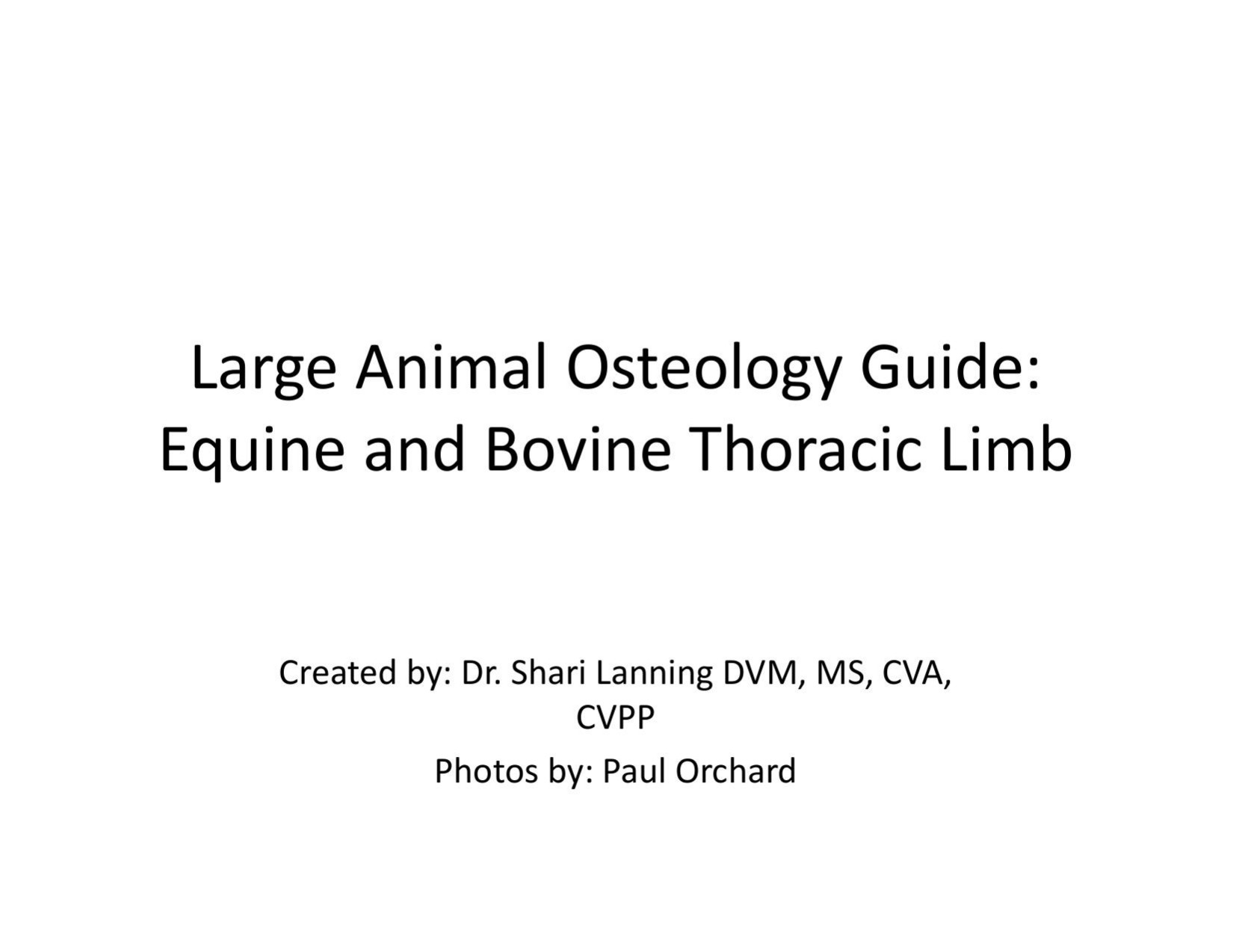 Microsoft PowerPoint - Large Animal Osteology- thoracic limb