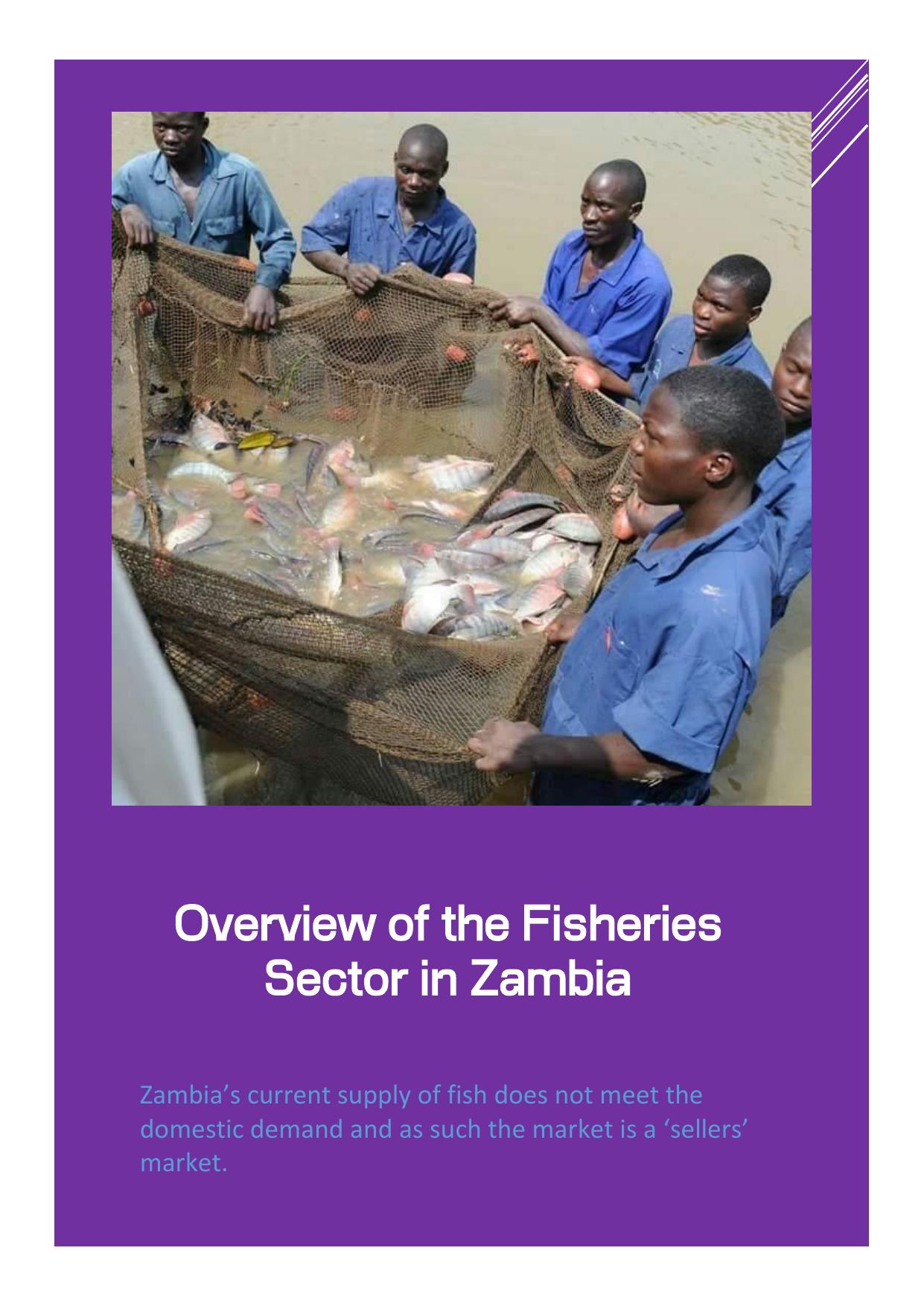 Overview of the Fisheries Sector in Zambia