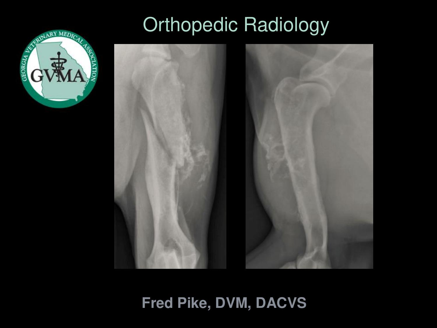 Orthopedic Radiology  Seth Mathus Ganz, DVM Surgery Resident  FVARC Grand Rounds 6/2010