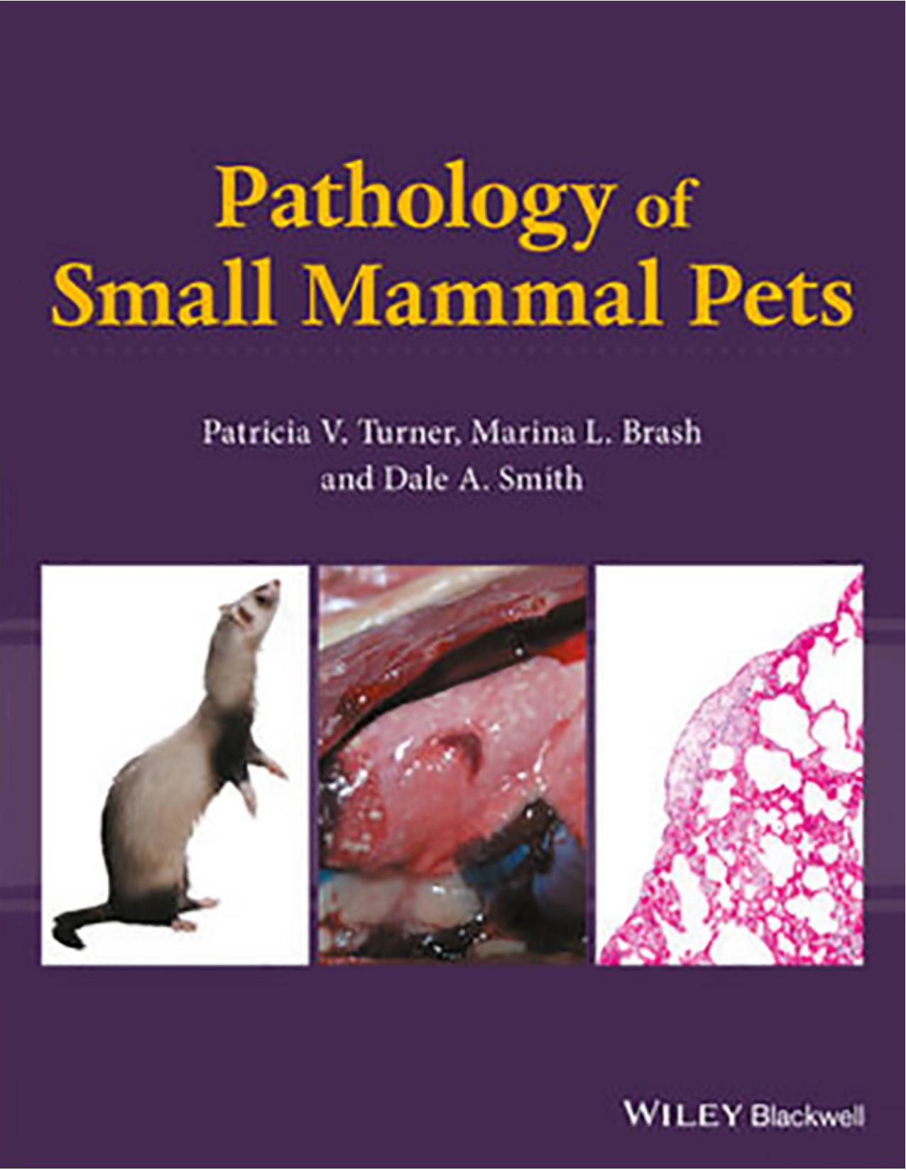 Pathology of Small Mammal Pets 2018