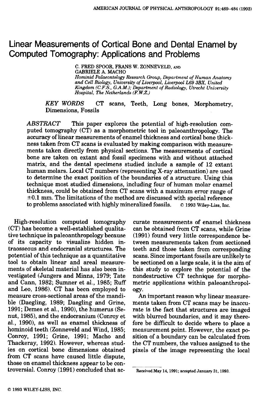 Spoor-et-al AJPA93 CT-measurements 1993