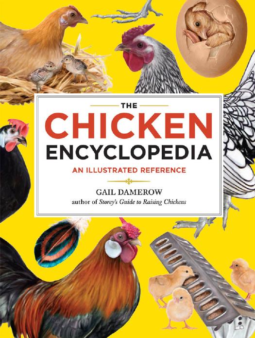 The Chicken Encyclopedia 2012