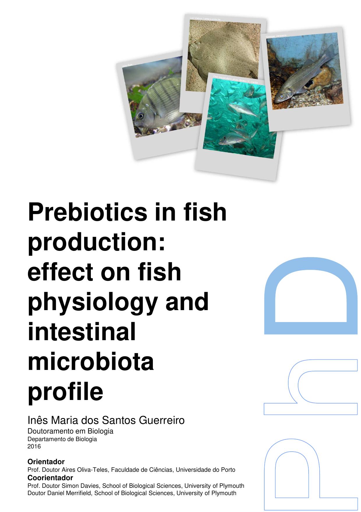 Prebiotics in fish production  effect on fish physiology and intestinal microbiota profile 2016