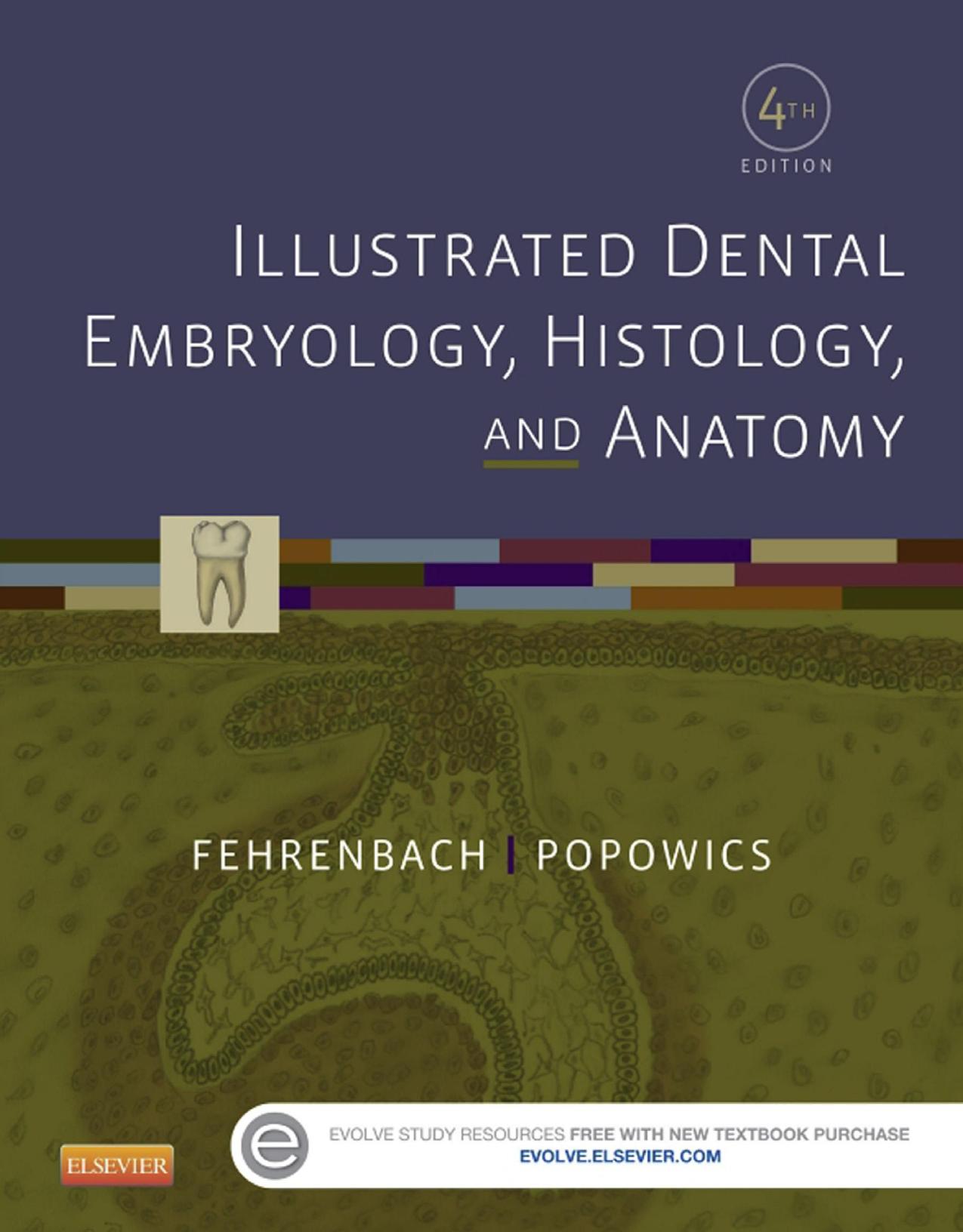 Illustrated Dental Embryology, Histology, and Anatomy, 4e ( PDFDrive )