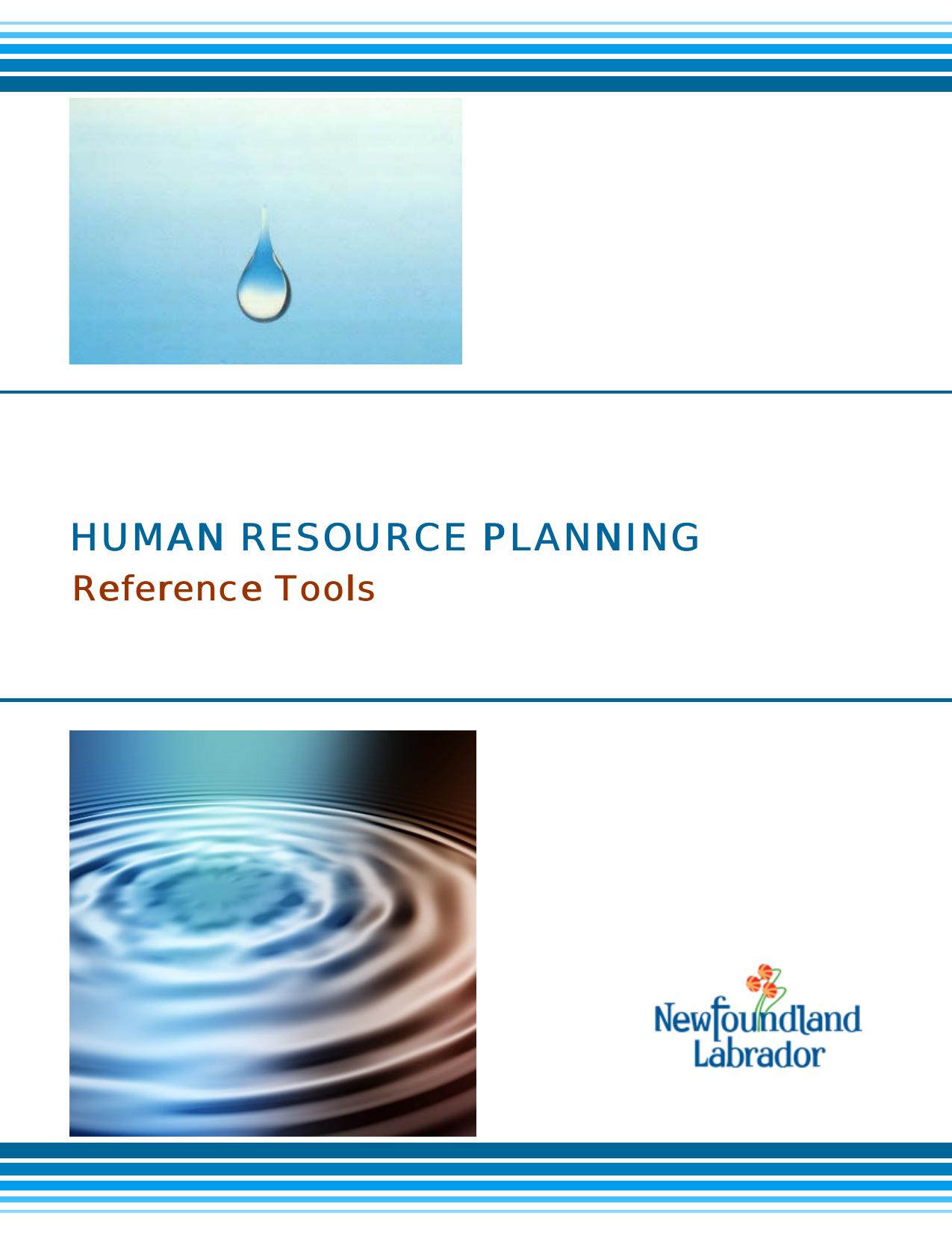 human resource planning human resource planning 2008