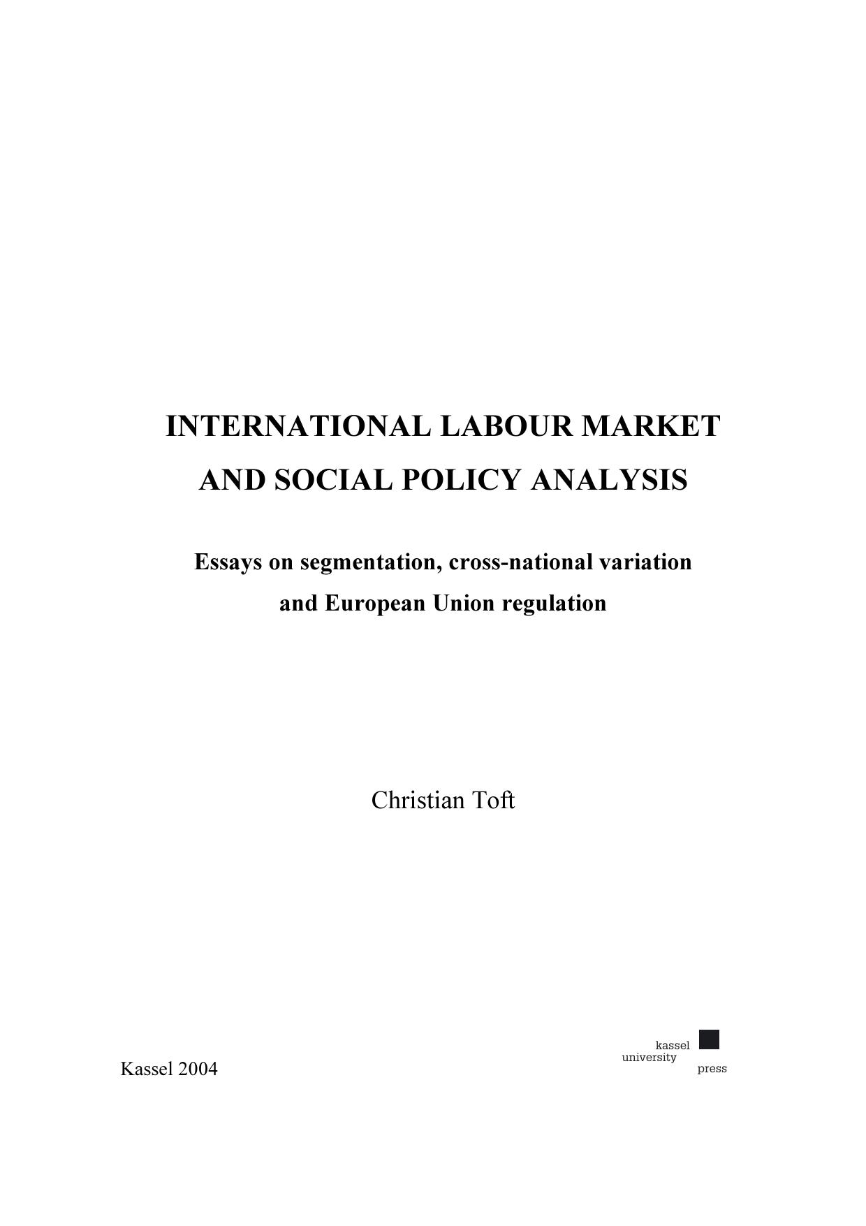 international labour market and social policy analysis 2004