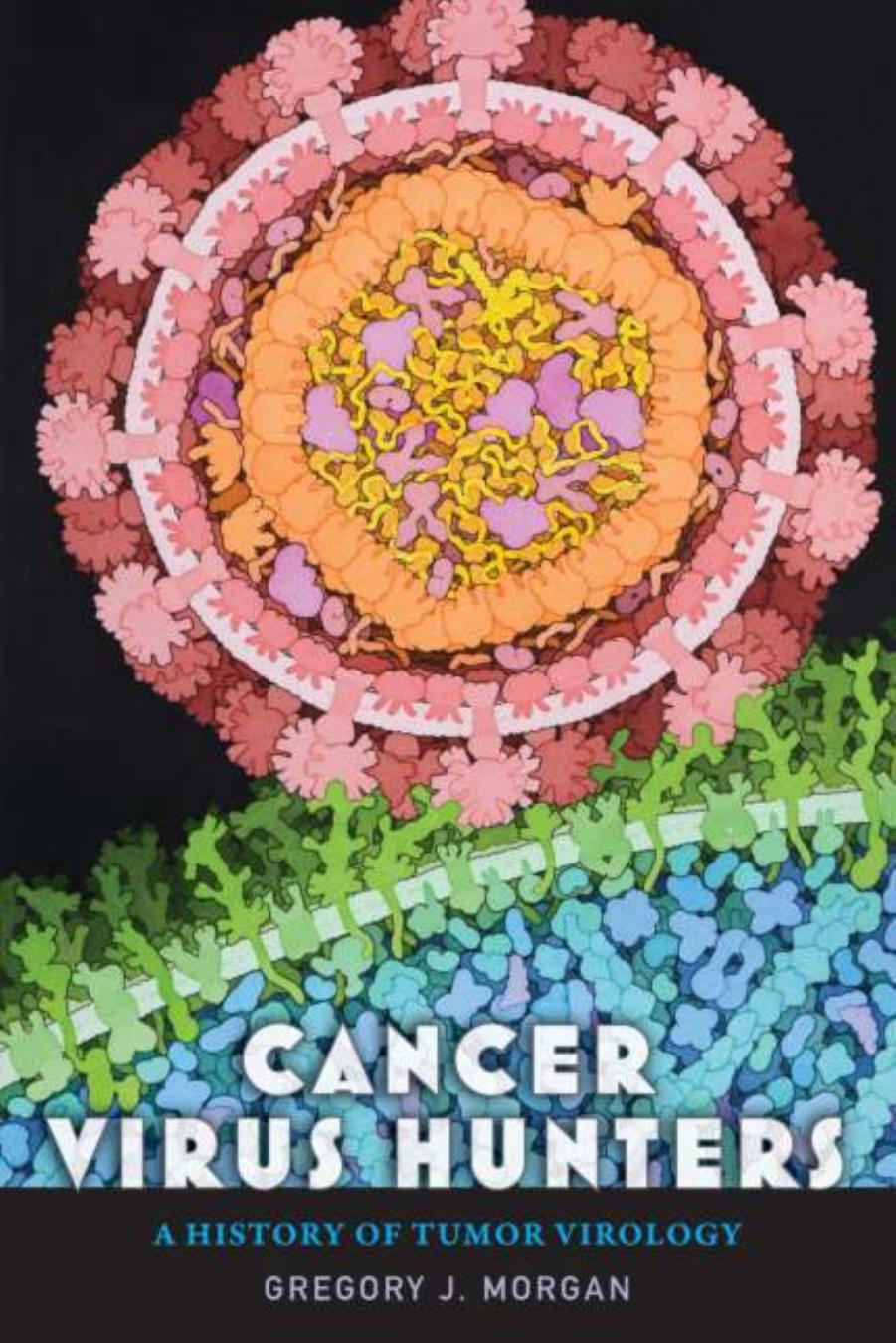 Cancer virus hunters   a history of tumor virology (2022)