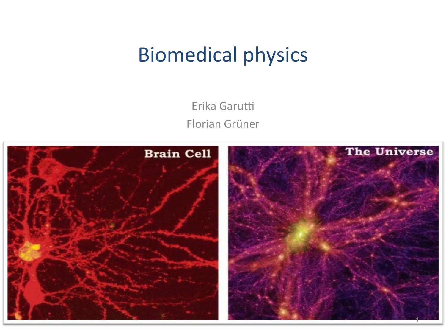 Biomedical Physics