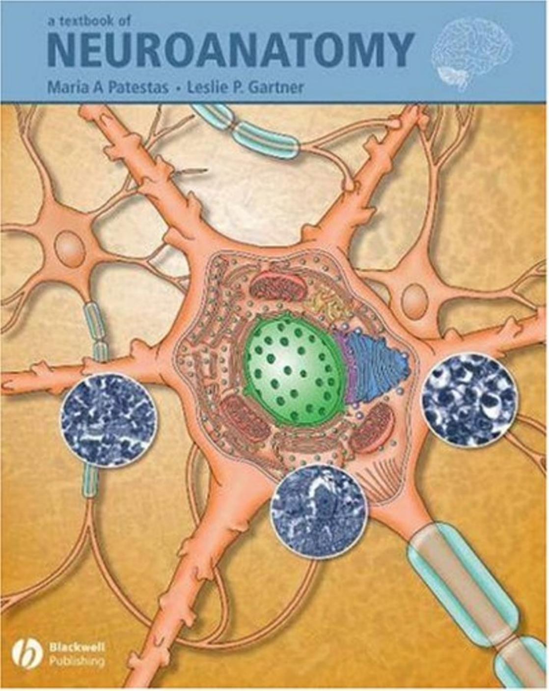 A Textbook of Neuroanatomy 2006