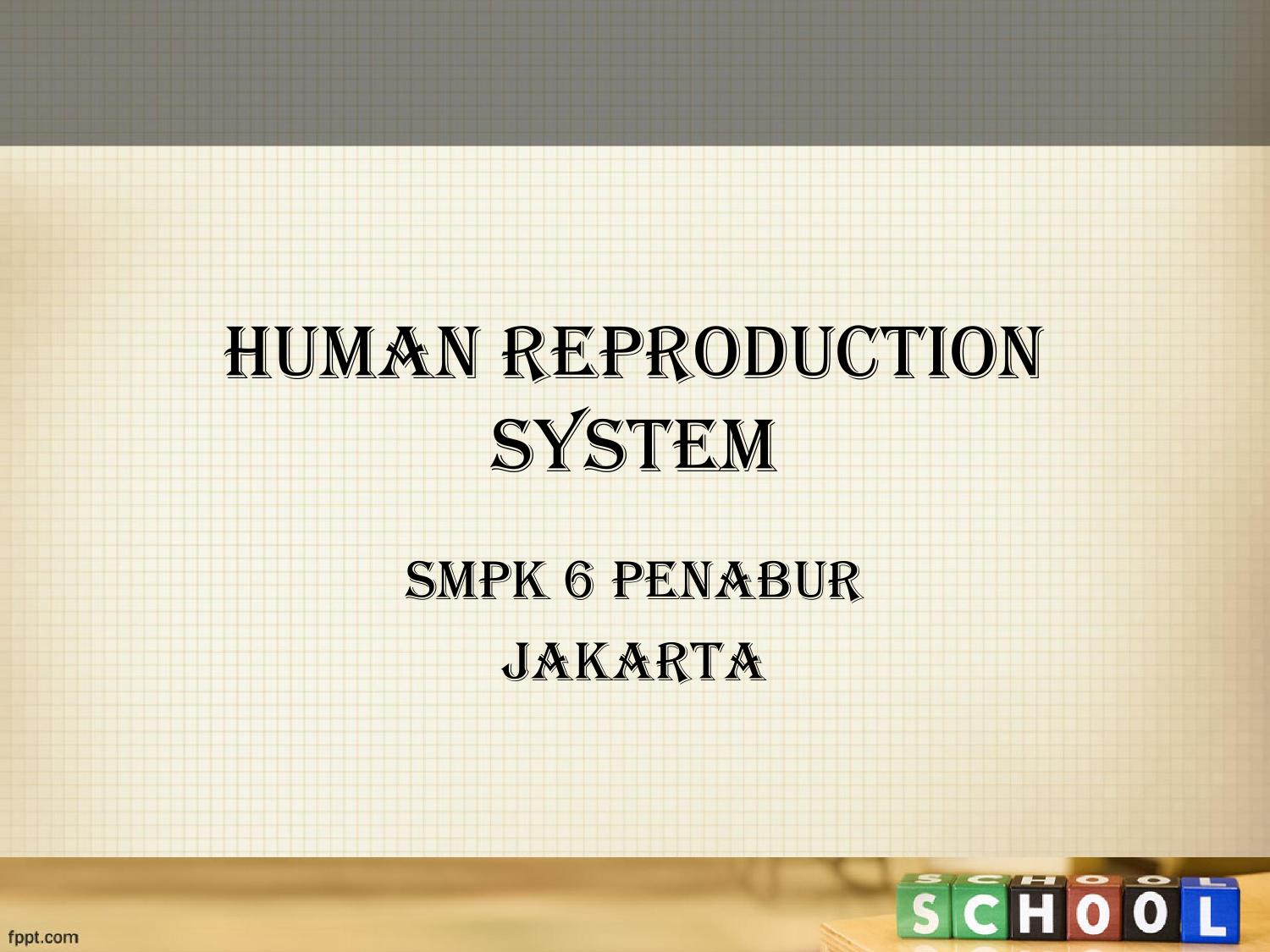 Human Reproduction System SMPK 6 PENABUR