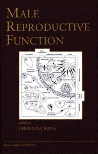 Male Reproductive Function (Endocrine Updates) 1999