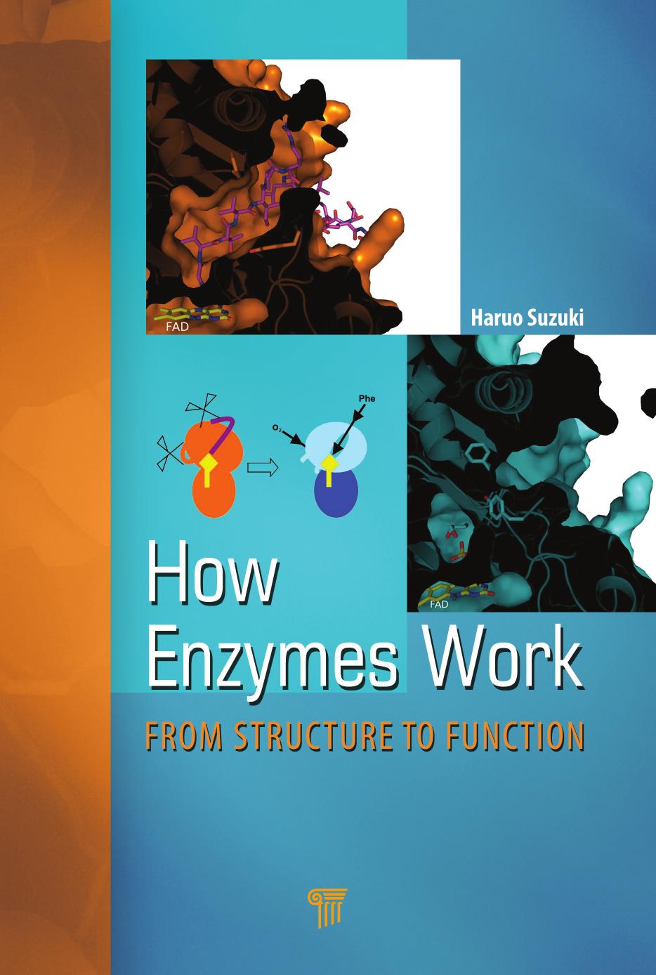 How Enzymes Work: From Structure to Function