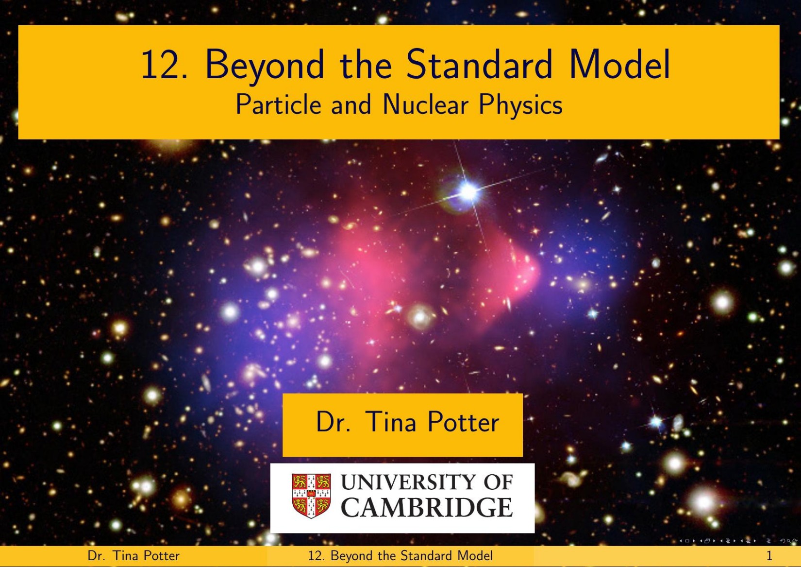 12. Beyond the Standard Model - Particle and Nuclear Physics