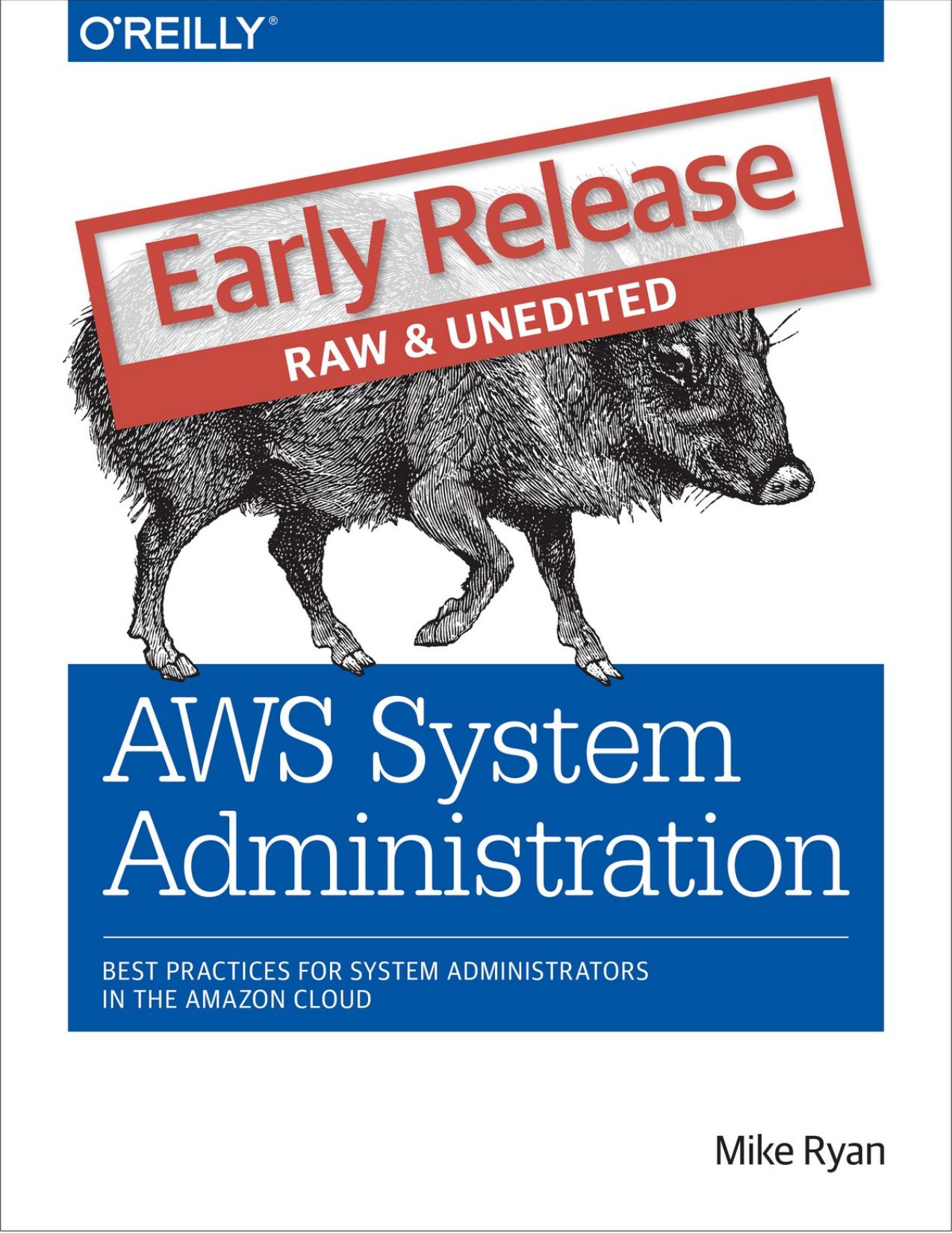 AWS System Administration, 1st Edition