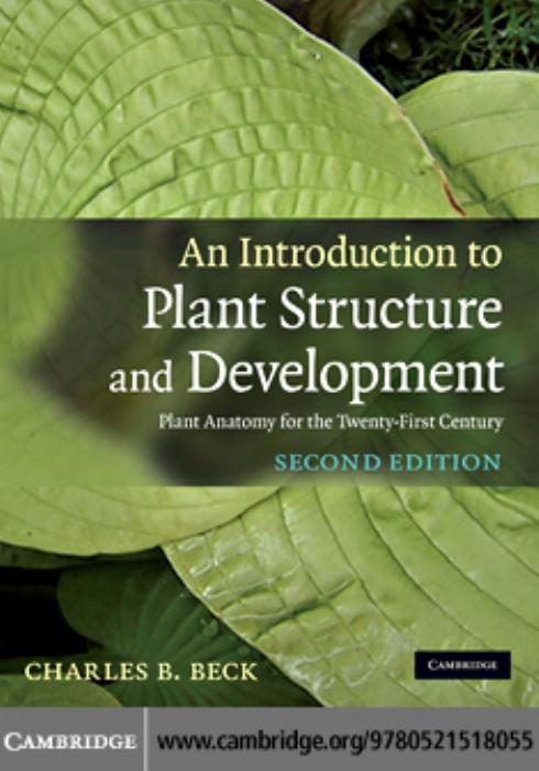 An Introduction to Plant Structure and Development: Plant Anatomy for the Twenty-First Century, Second Edition