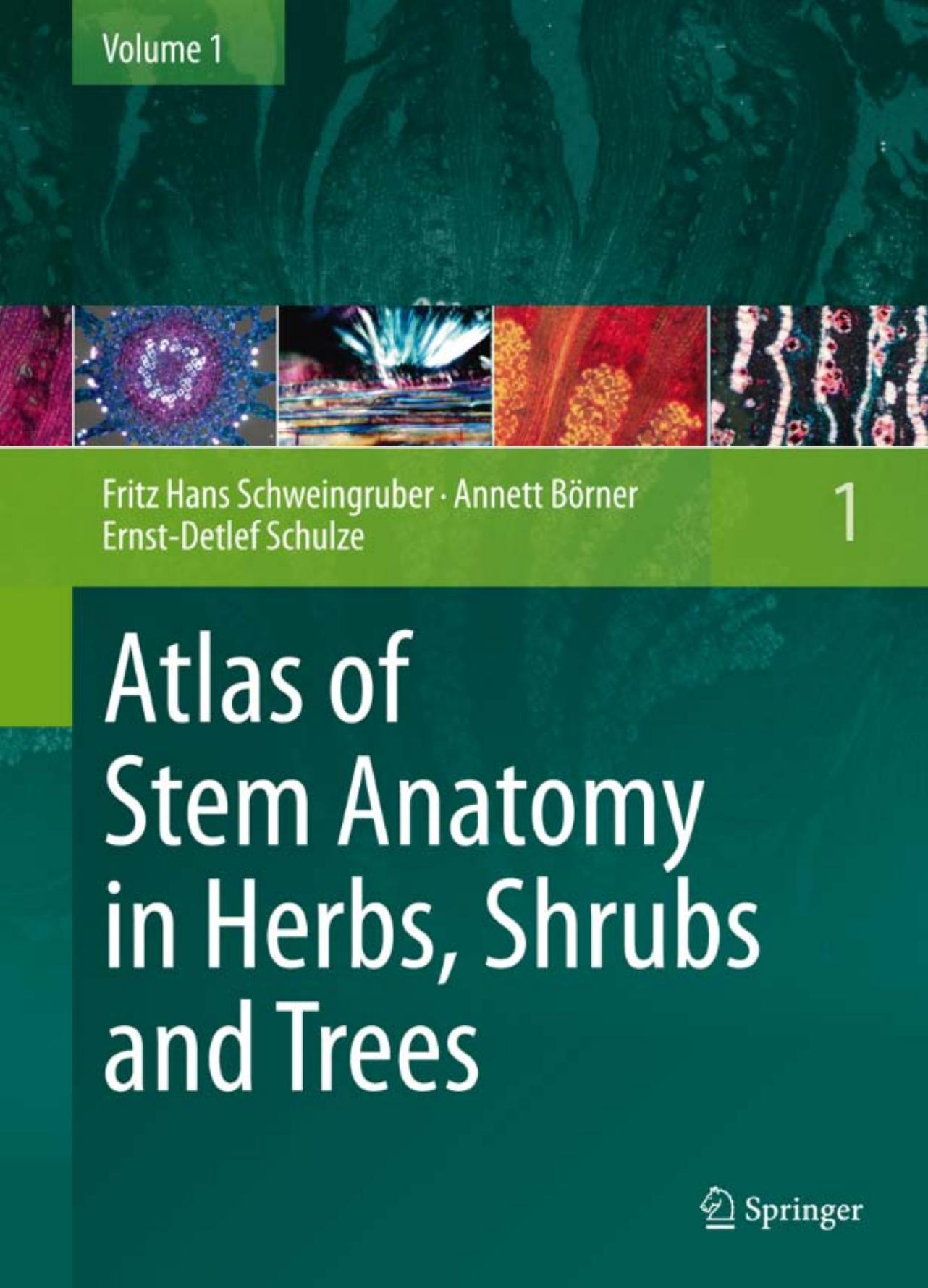 Atlas of Stem Anatomy in Herbs, Shrubs and Trees: Volume 1