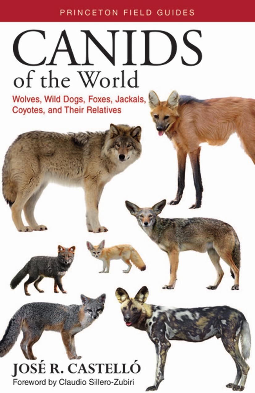 Canids of the World Wolves, Wild Dogs, Foxes, Jackals, Coyotes, and Their Relatives    2018