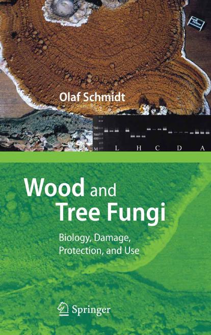 Wood and Tree Fungi Biology, Damage, Protection, and Use   2006