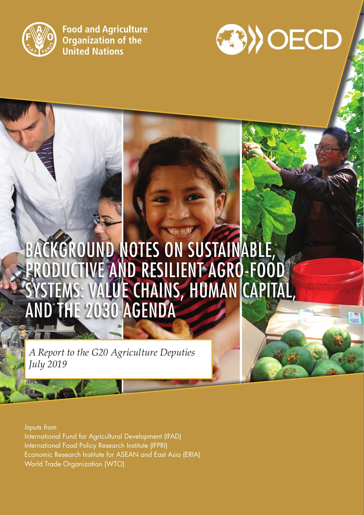 Background Notes on Sustainable, Productive and Resilient Agro-Food Systems Value chains, human capital, 2019