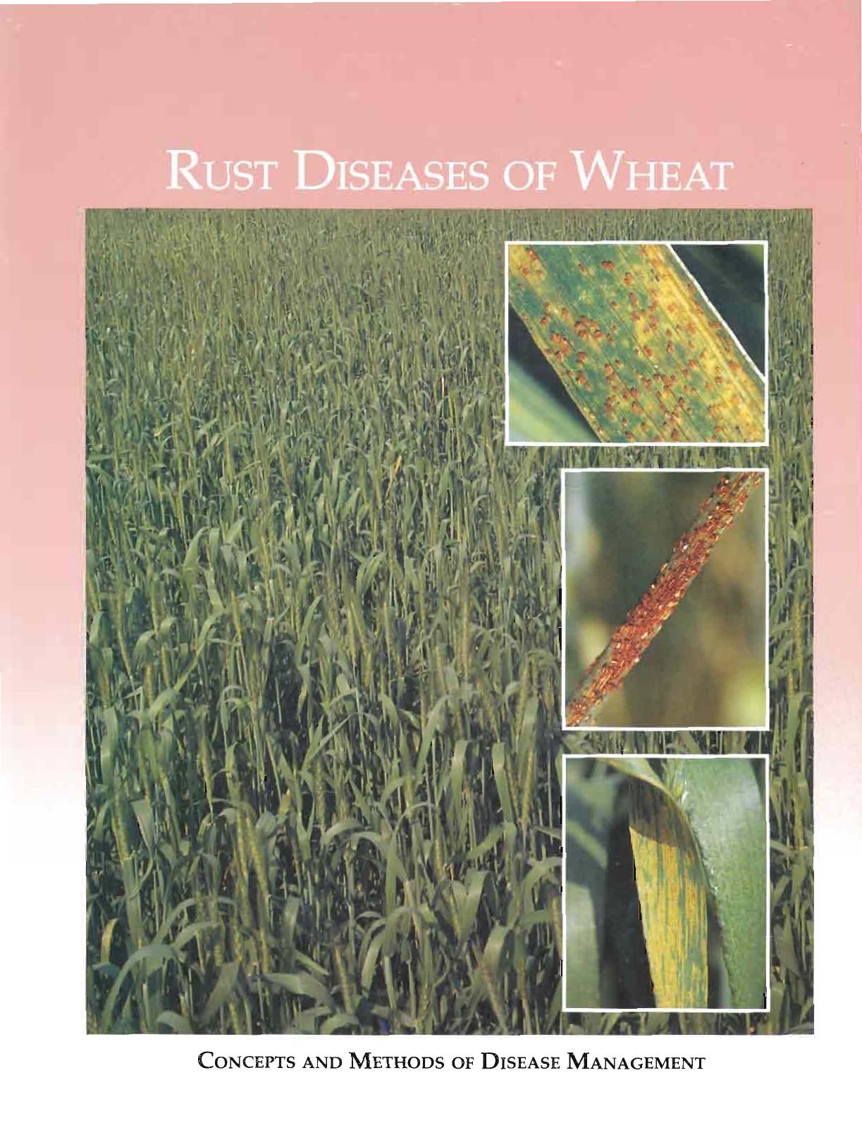 Rust Diseases of Wheat Concepts and methods of disease management 2016