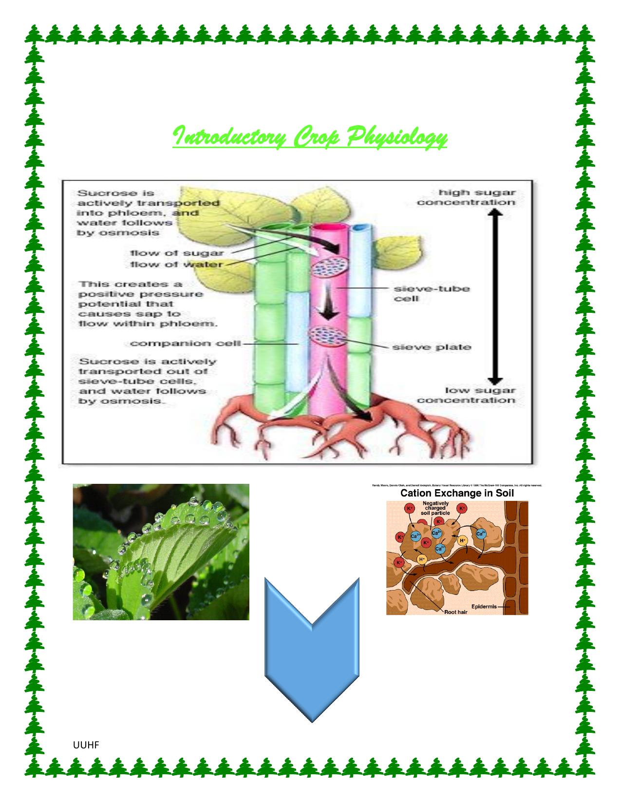 Crop physiology 2016