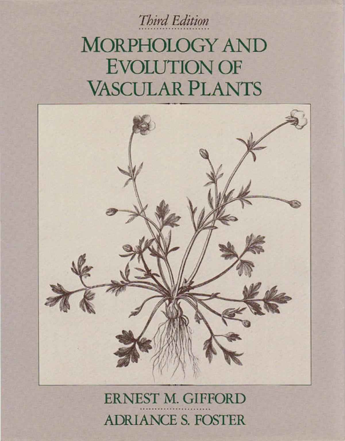 Morphology and Evolution of Vascular Plants, 3rd Edition (Series of Books in Biology)