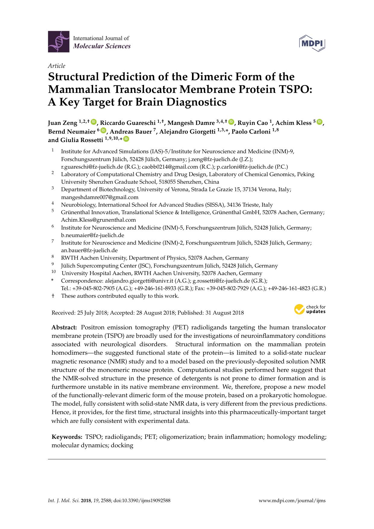Structural Prediction of the Dimeric Form of the Mammalian Translocator Membrane Protein TSPO: A Key Target for Brain Diagnostics