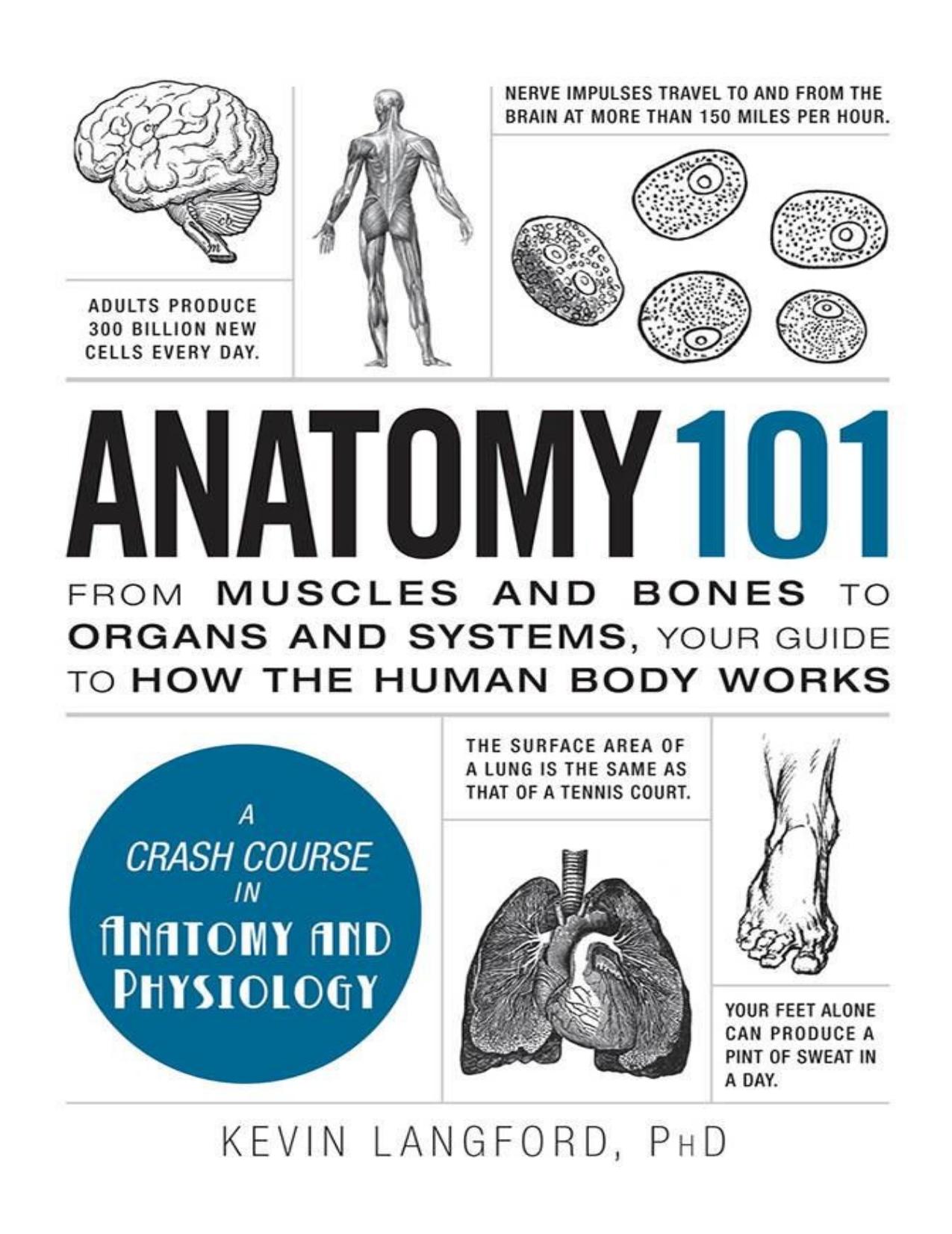 Anatomy 101: From Muscles and Bones to Organs and Systems, Your Guide to How the Human Body Works - PDFDrive.com