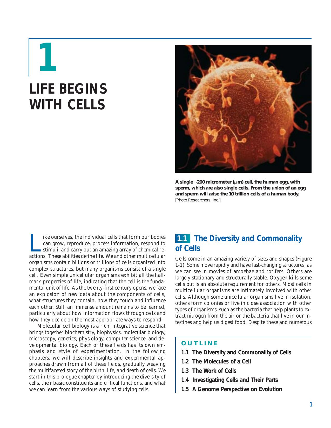 01 Life Begins with Cells