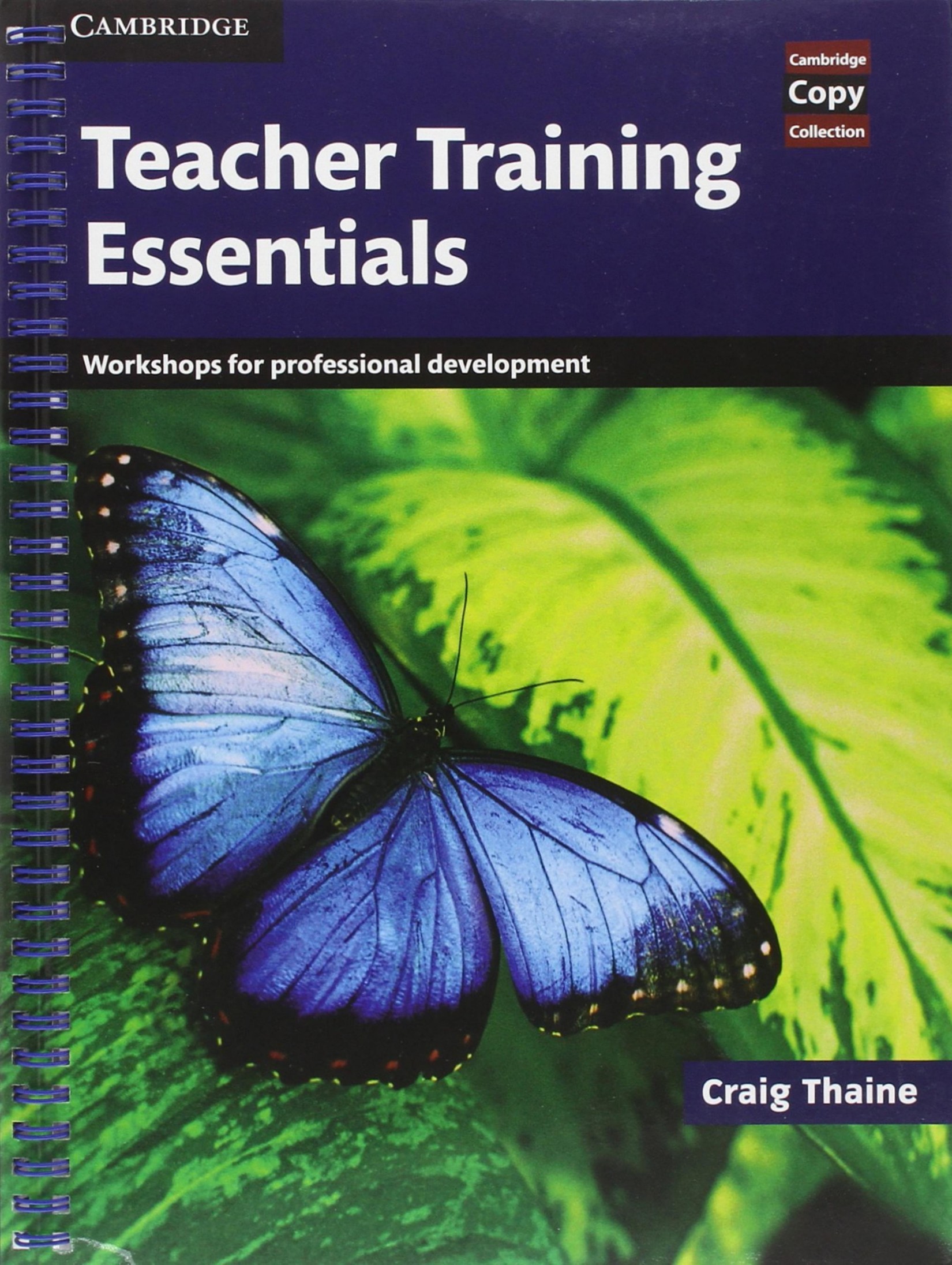 Teacher Training Essentials. Workshops for Professional Development  2016